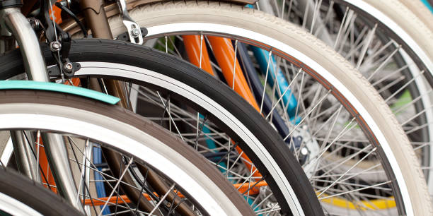 bicycle wheels